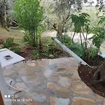 Διαμέρισμα Colors Pilio Άφησσος